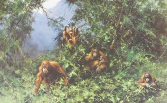 David Shepherd OBE, FRSA (British, 1931-2017). Men of the Woods-Orang-utans, limited edition 642/900