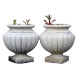 A pair of reconstituted part fluted vase shaped urns, each on a square base, 43cm high, 39cm wide.