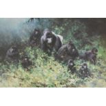 David Shepherd OBE, FRSA (British, 1931-2017). The Mountain Gorillas of Rwanda, limited edition prin