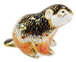 A Royal Crown Derby porcelain riverbank beaver paperweight, limited edition number 3327/5000,