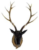 A 20thC decorative deer's head, the moulded plastic face and neck with bronzed effect, moulded