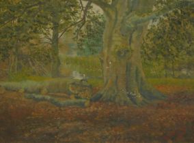 R. Bilbrough. Woodland landscape, oil on canvas, signed and indistinct attribution verso, 24.5cm x