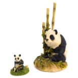 A Teviotdale resin figure, modelled as a panda seated beside bamboo shoots, label to base, 16cm