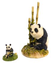 A Teviotdale resin figure, modelled as a panda seated beside bamboo shoots, label to base, 16cm
