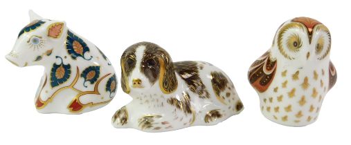 Three Royal Crown Derby porcelain paperweights, comprising Snuffle, Scruff and Owlet, each with