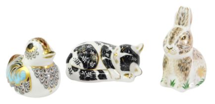 Three Royal Crown Derby porcelain paperweights, comprising Nibbles, Misty and Collectors Guild