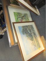 Various pictures and prints, watercolour cottage scenes, M E Salf watercolour, and others. (a