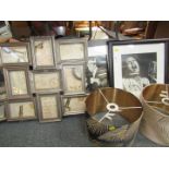 Assorted pictures and prints, two framed staggered photographs, two fern light shades,