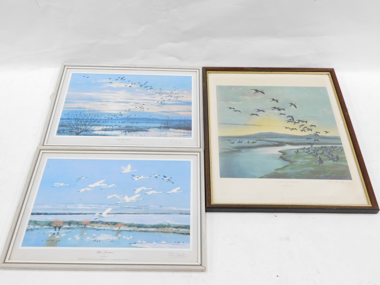 After Peter Scott. Three bird prints, comprising After a Snowstorm, In the Winter Dusk and Floating - Image 2 of 3