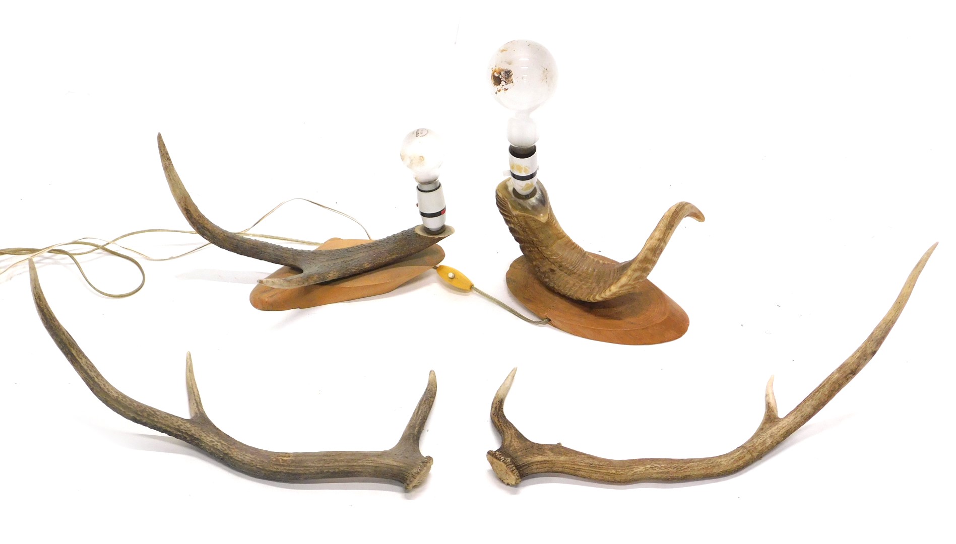 A table lamp, mounted with a ram's horn, another similar with antler, etc.