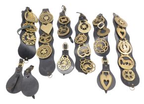 A quantity of horse brasses, with leather martingales.