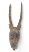 Tribal Art. Baule/Baoule tribe, Horned Antelope mask with protruding tongue. Collected from village