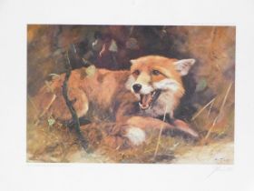 After John Trickett. Fox, artist signed limited edition print, 40cm x 50cm.