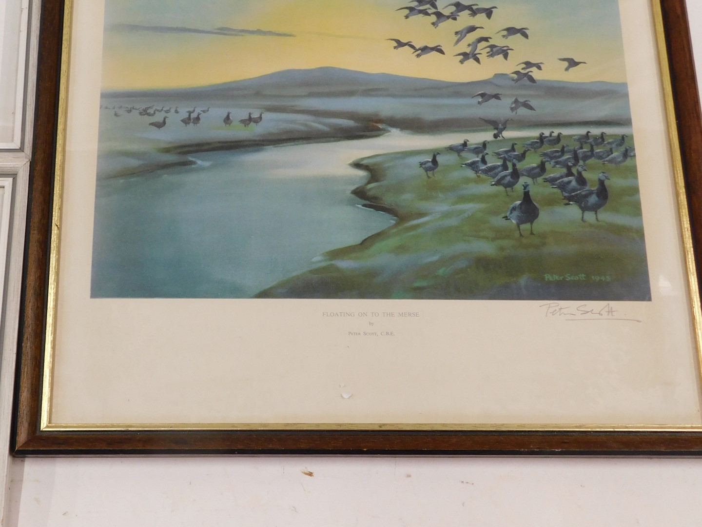 After Peter Scott. Three bird prints, comprising After a Snowstorm, In the Winter Dusk and Floating - Image 3 of 3