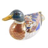 A Royal Crown Derby mallard paperweight, with silver stopper, 12cm wide.