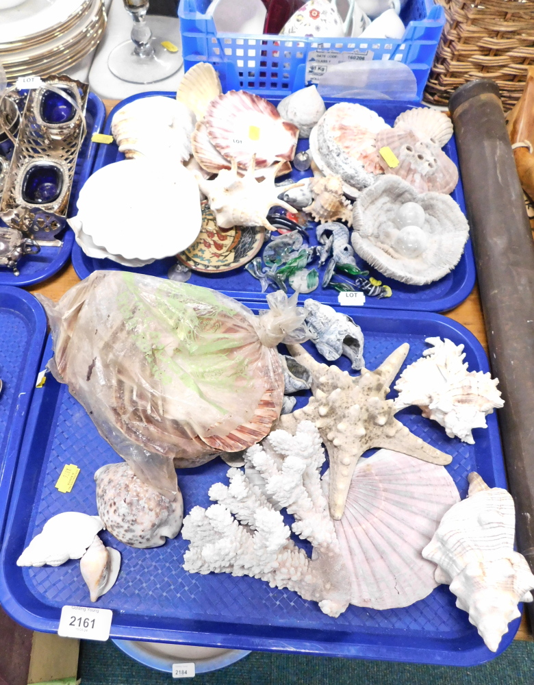 Various shells, etc. (2 trays)