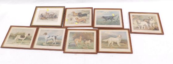 Various prints, to include after John Miller, European Wolf, Black Wolf, etc., coloured engravings,