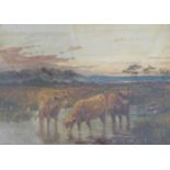 Charles W. Oswald (19thC/20thC). Cattle in river landscape, oil on canvas, signed, 5cm x 35cm.
