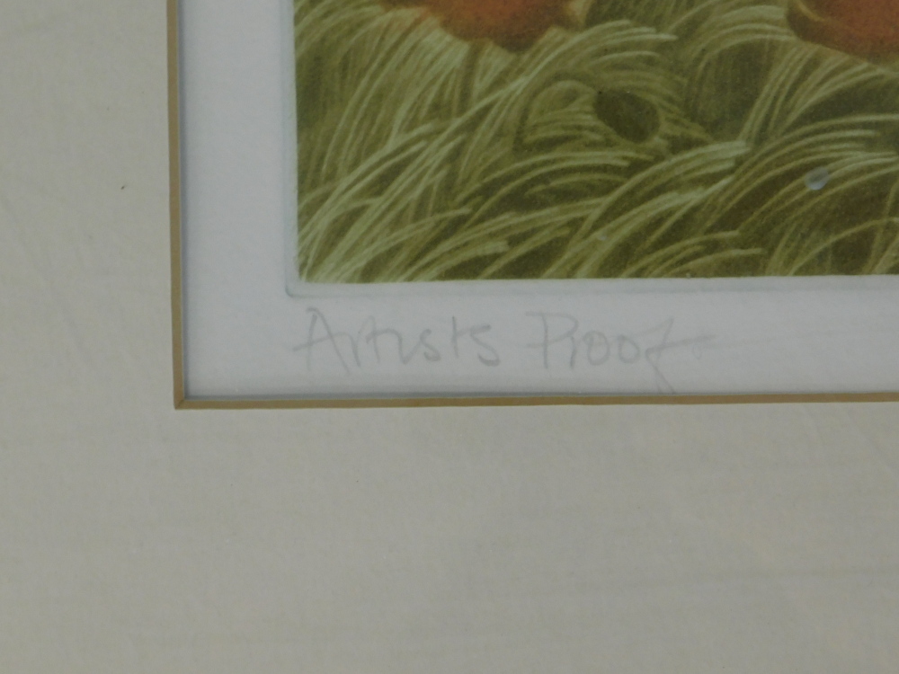 After Susan Jameson. Harvest Moon, artist proof, signed and dated 1989, 38cm x 47cm. - Bild 5 aus 7