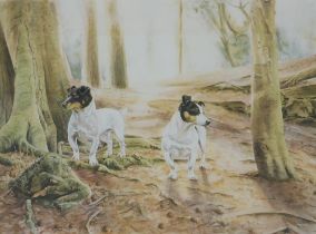Ros Goody (20thC). Dogs, artist signed limited edition coloured print, 40/80, 39cm x 50cm. Label ver