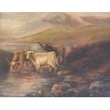 Mary Howles (19thC/20thC). Highland cattle, oil on canvas, signed, 37cm x 48cm.