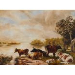 19thC British School. Cattle at water's edge, oil on board, initialled, 21.5cm x 29cm.