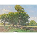Sr A.J. Moller. Woodland landscape, oil on canvas, signed, 74cm x 99cm.