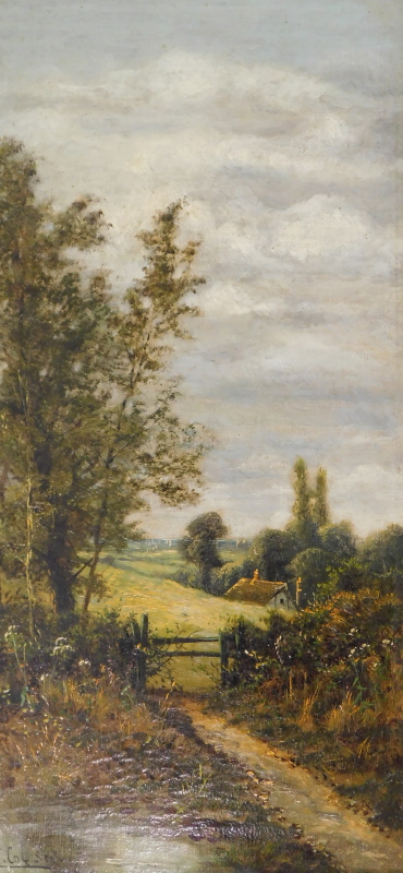 E. Coleson (19thC). Woodland landscape, oil on canvas - pair, signed, 59.5cm x 29cm. - Image 2 of 6