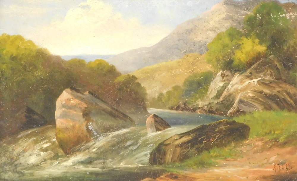 A. W. Bibbs (19thC). Study of the (waterfall) North Wales, oil on board, signed and titled verso, 18