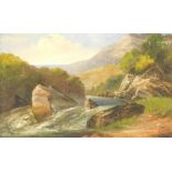 A. W. Bibbs (19thC). Study of the (waterfall) North Wales, oil on board, signed and titled verso, 18