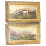 F.E. Webster (19thC/20thC). Sheep and cattle, oils on canvas, signed and dated 1915, 28cm x 59cm - p