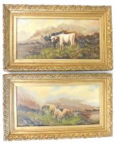 F.E. Webster (19thC/20thC). Sheep and cattle, oils on canvas, signed and dated 1915, 28cm x 59cm - p