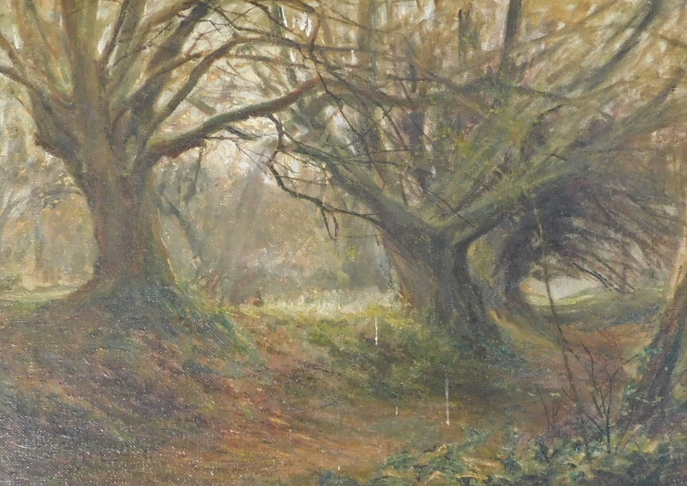 William Arthur Sheldon (1868-1960). Woodland scene, oil on canvas, signed, 24.5cm x 34.5cm.