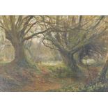 William Arthur Sheldon (1868-1960). Woodland scene, oil on canvas, signed, 24.5cm x 34.5cm.