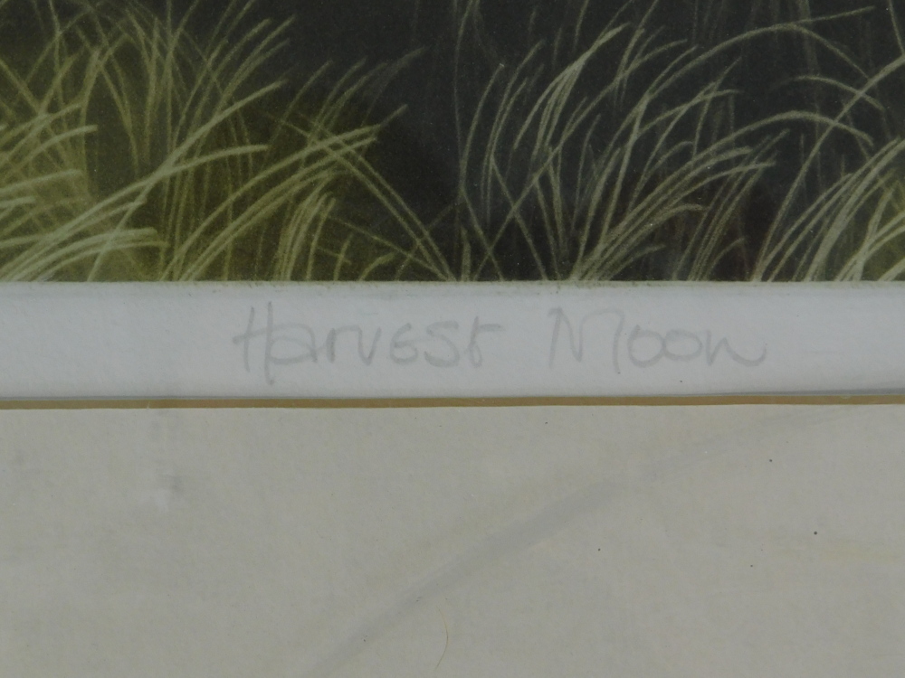 After Susan Jameson. Harvest Moon, artist proof, signed and dated 1989, 38cm x 47cm. - Bild 4 aus 7