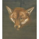Fox study. Coloured print published Stanlstick von Bl Hotel Salzburg 1849, 21cm x 17cm.