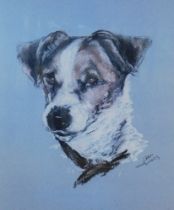Joan Woodward. Dog study, artist signed limited edition coloured print, 33cm x 27.5cm.