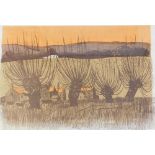 Robert Taverner. Four Willows and Dams, artist signed limited edition colour lithograph, 30/75, 44cm