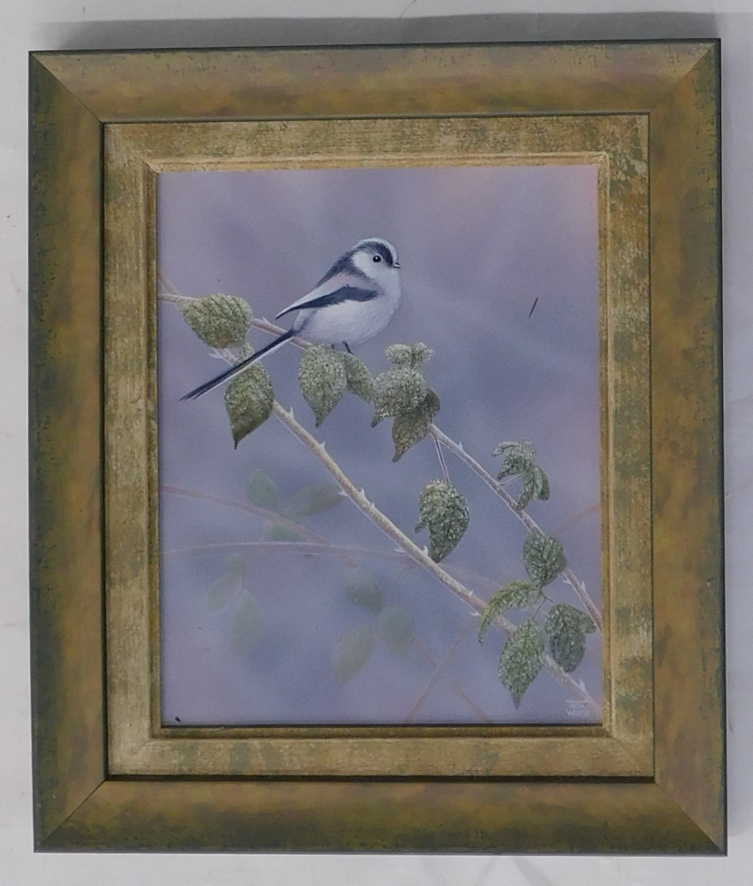 Toni Watts (20thC). Bird, oil on board, signed, 24cm x 19cm. - Image 2 of 4