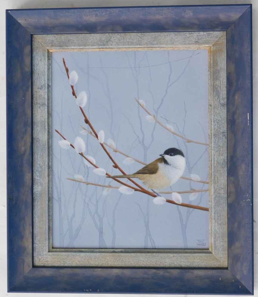 Toni Watts (20thC). Bird, oil on board, signed, 24cm x 19cm. - Image 2 of 4