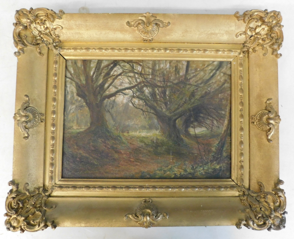 William Arthur Sheldon (1868-1960). Woodland scene, oil on canvas, signed, 24.5cm x 34.5cm. - Image 2 of 5