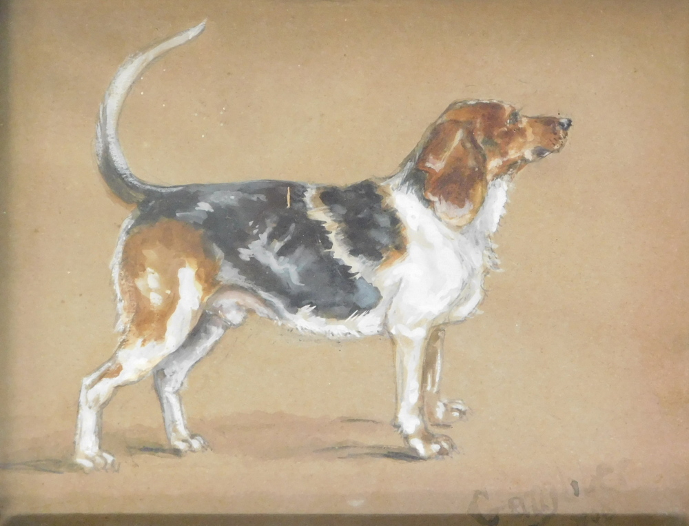 20thC School. Portrait of a dog, watercolour, indistinctly signed and dated 1908, 18cm x 22cm.