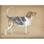 20thC School. Portrait of a dog, watercolour, indistinctly signed and dated 1908, 18cm x 22cm.