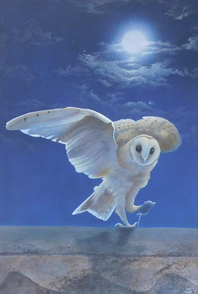 Toni Watts (20thC). Owl, oil on board, signed, 59cm x 40cm. - Image 2 of 4