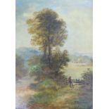 T. Cawley (19thC/20thC). Country landscape - harvest time, oil on canvas, signed, 30cm x 22cm.