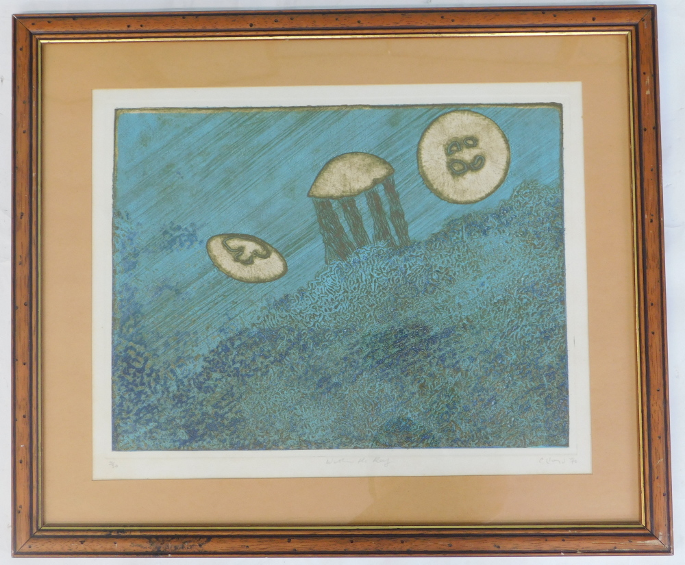 C. Lloyd. Within the Reef, artist signed, titled, dated (19)70, coloured etching, 4/30, 38cm x 47cm. - Bild 2 aus 7