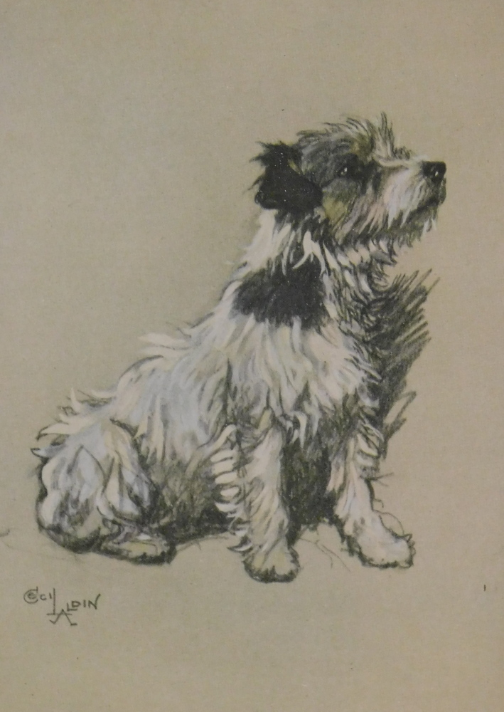 After Cecil Aldin. Dogs, two framed and mounted coloured prints, 14cm x 10cm (2). - Image 4 of 6