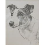 After Lobban. Jack Russell Terrier, print, 20cm x 16cm.
