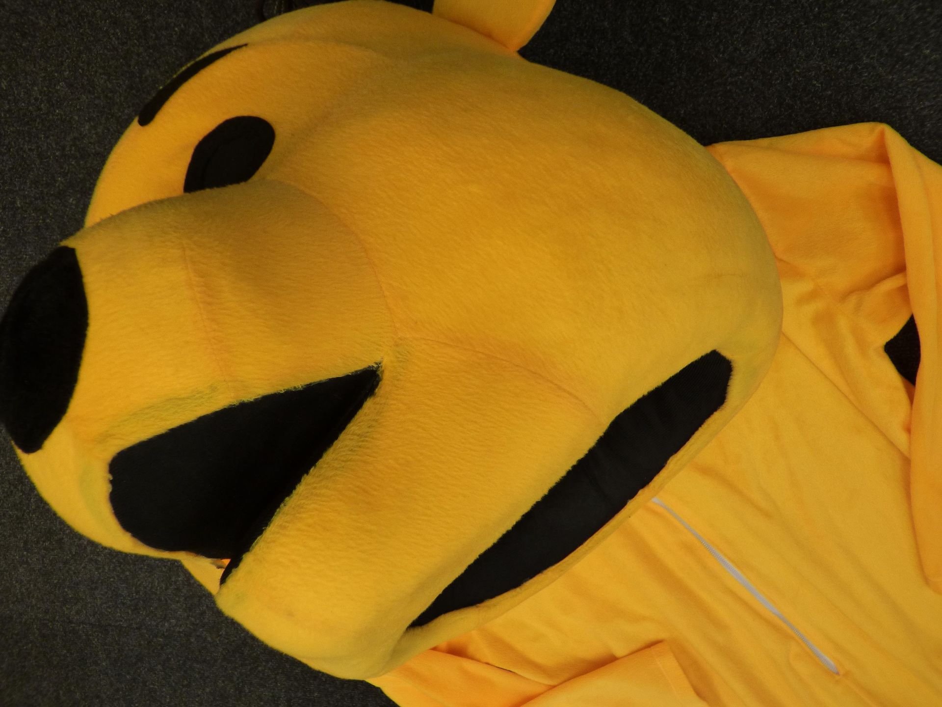 Winnie the Pooh Style Costume - Image 3 of 4