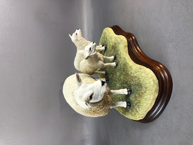 Border fine Arts figurines, two studies ,Texel Ewe and lambs limited edition 233 of 1,500 and a - Image 9 of 9